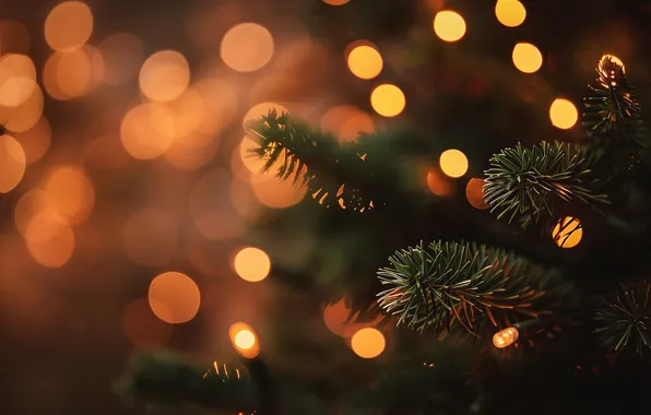 Winter, light, branches, lights, glare, the dark background, holiday, texture