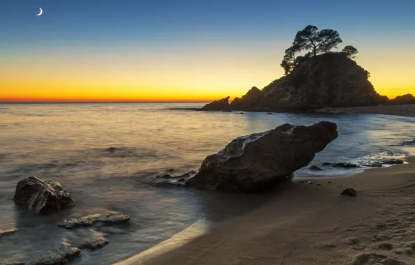 Sand, sea, beach, sunset, tree, rocks, the moon, shore