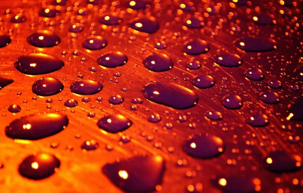 Water, drops, surface, macro, drops of rain