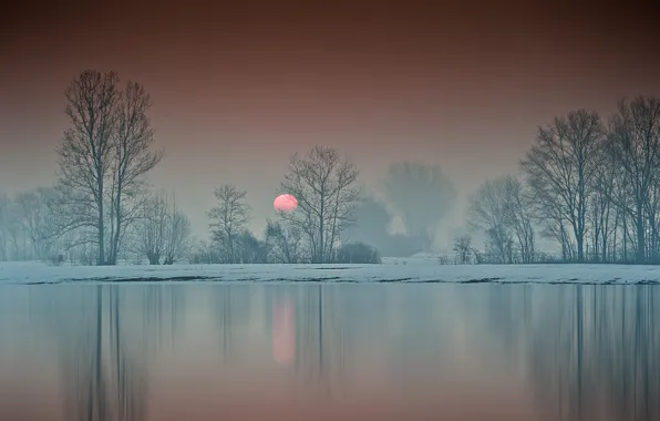 Picture winter, trees, lake, sunrise, dawn, morning