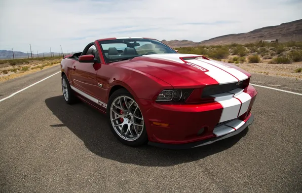 Picture road, desert, Ford, Shelby, supercar, Ford, Shelby, Convertible
