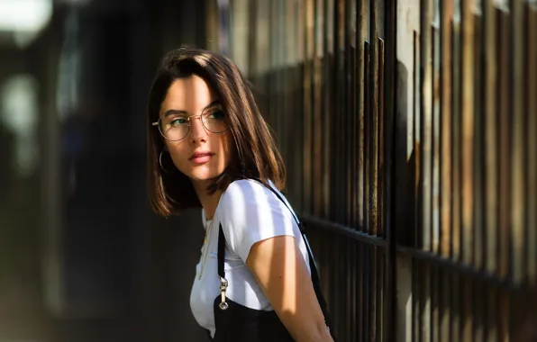 Picture the sun, model, the fence, portrait, makeup, Mike, glasses, hairstyle