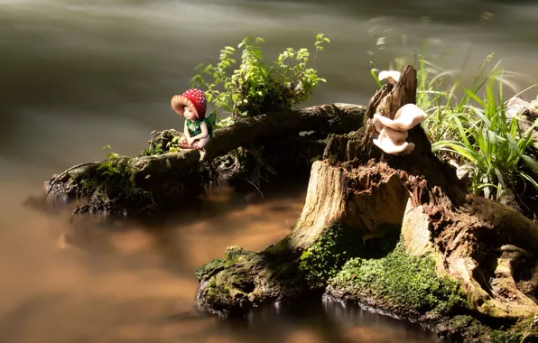 Summer, grass, water, childhood, tree, elf, toy, mushrooms