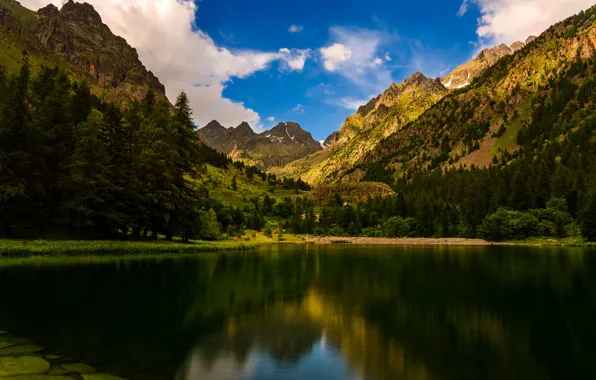 Greens, forest, the sky, clouds, trees, mountains, lake, France