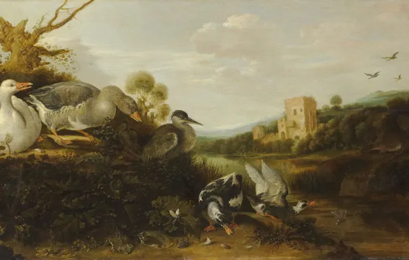 Picture animal, picture, Gijsbert Gillisz. the Hondecoeter, Waterfowl