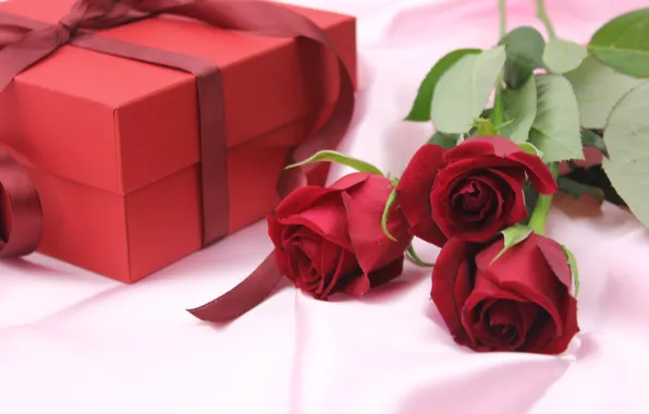 Background, roses, Flowers, bouquet, Gift