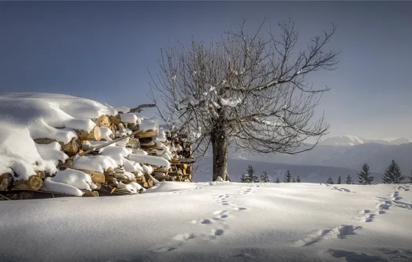 Winter, the sky, snow