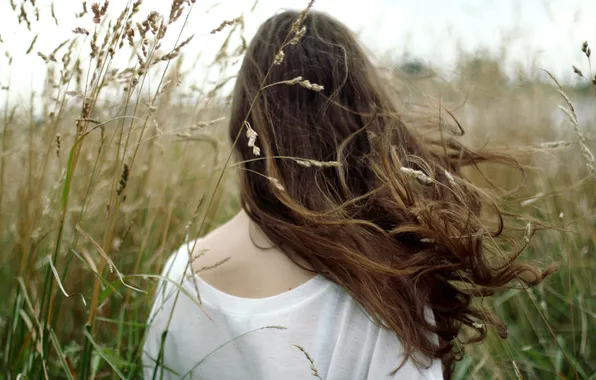 Grass, girl, the wind, brown hair