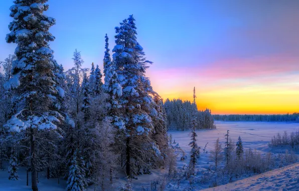 Winter, forest, the sky, snow, trees, sunset, spruce