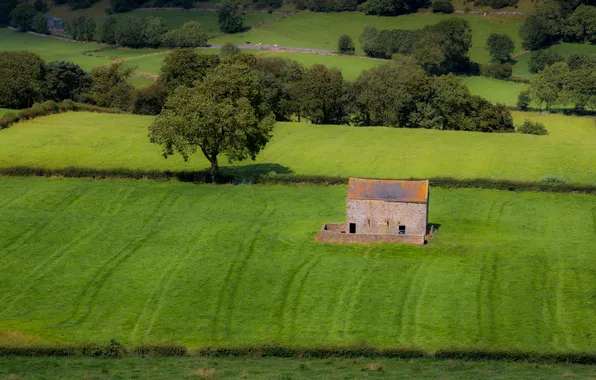 Greens, field, forest, summer, trees, hills, field, house