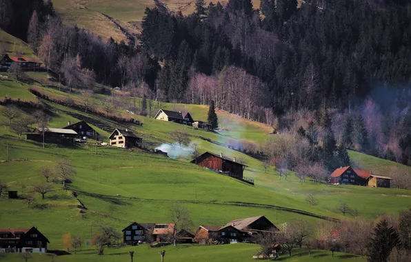 Forest, trees, hills, smoke, field, slope, village, couples