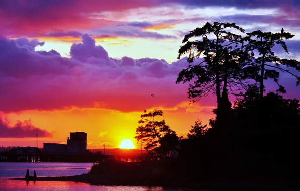 The sky, the sun, trees, sunset, clouds