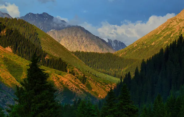 Trees, mountains, gorge, Kyrgyzstan, Kyrgyzstan, Jety-Oguz