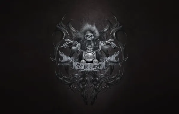 Wallpaper Minimalism, Skull, Bones, Art, Sake, Death, Illustration