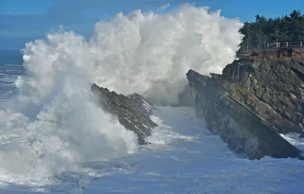Picture sea, the sky, squirt, storm, stones, rocks