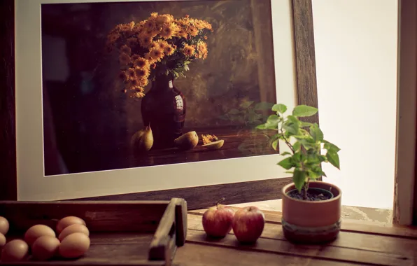 Photo, apples, plant, eggs, frame, still life, pot, Wallpaper from lolita777
