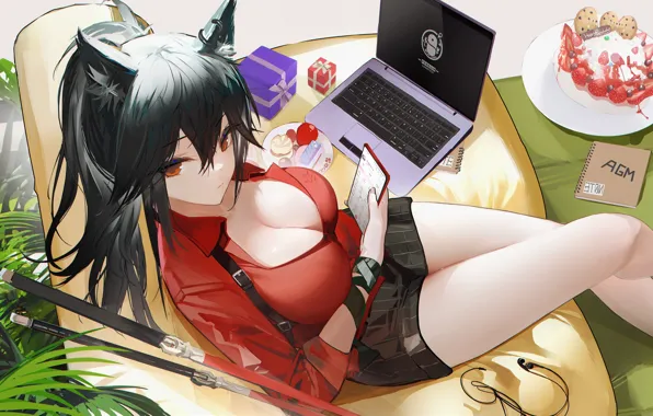 Picture cleavage, cake, animal ears, red eyes, sweets, texas, laptop, anime girls