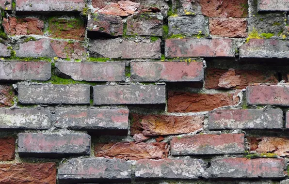 Background, wall, brick