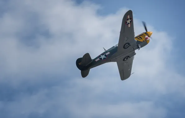 The sky, flight, fighter, Warhawk