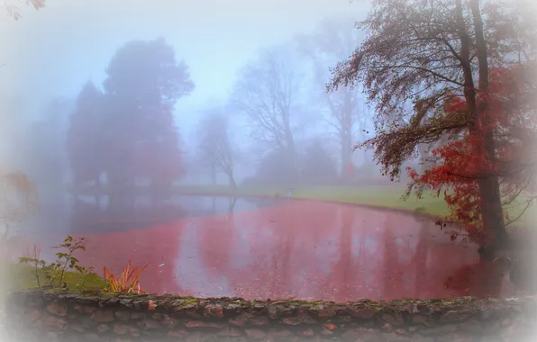 Picture autumn, landscape, fog, Park