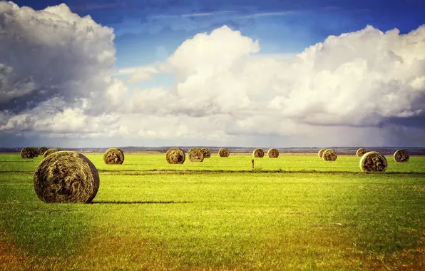 The sky, grass, clouds, field, shadow, hay, farm