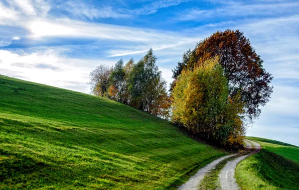 Picture road, autumn, the sky, grass, trees, slope, hill