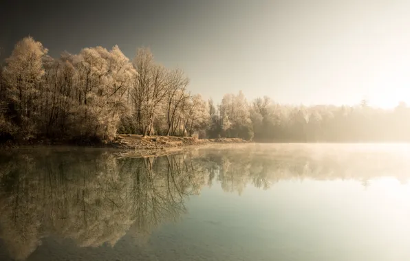 Winter, fog, lake