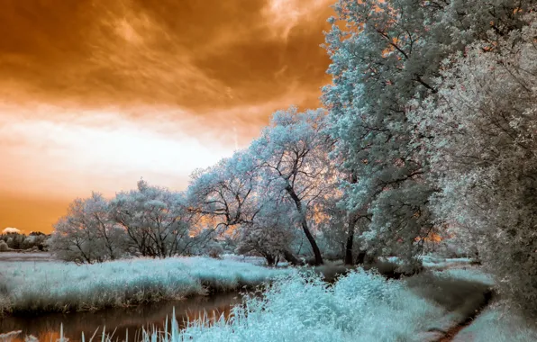 Landscape, nature, river