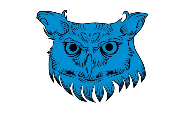 Owl, minimalism, head, white background, owl