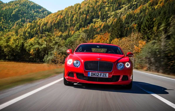 Red, Bentley, Continental, Road, Trees, Forest, Machine, The hood