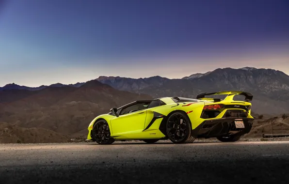 Roadster, the evening, Lamborghini, supercar, rear view, Aventador, 2020, SVJ