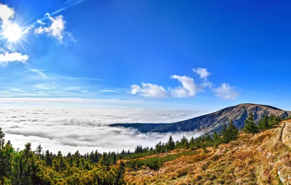 Forest, the sun, clouds, mountains, Czech Republic, The Karkonosze national Park