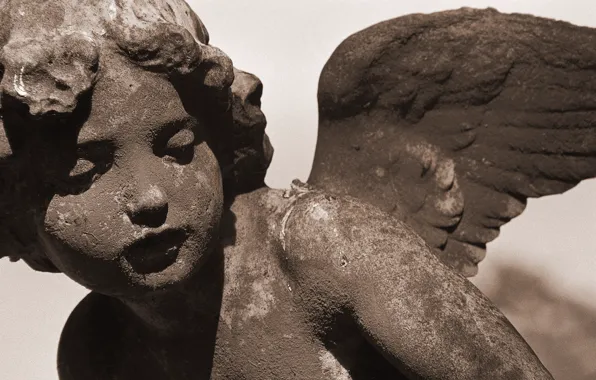 Stone, wings, angel, Sculpture