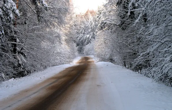 Picture winter, road, forest, snow, trees, nature, road, photos