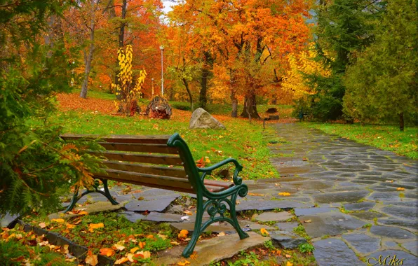 Bench, Fall, Autumn