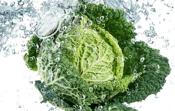 Leaves, water, drops, squirt, freshness, green, cabbage, water