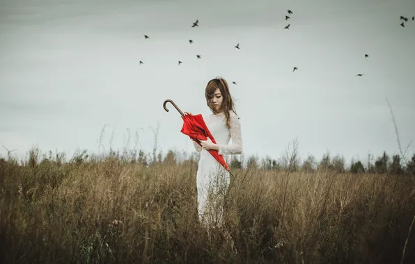 Picture the storm, field, girl, birds, hair, dress, red umbrella, gray clouds