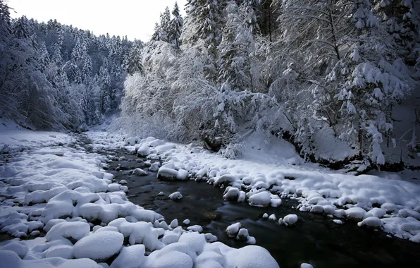 Snow, nature, river