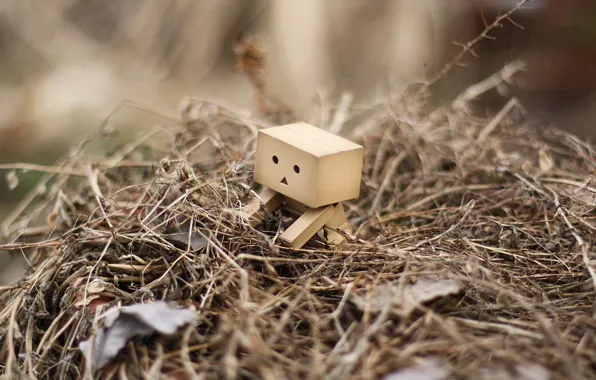 Picture grass, leaves, robot, danbo, a bunch