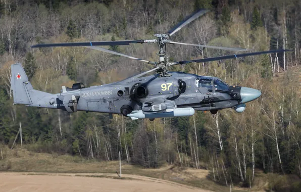Picture helicopter, Russian, Ka-52, shock, "Alligator"