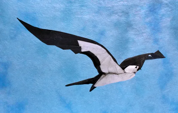 Picture paper, bird, origami, swallow