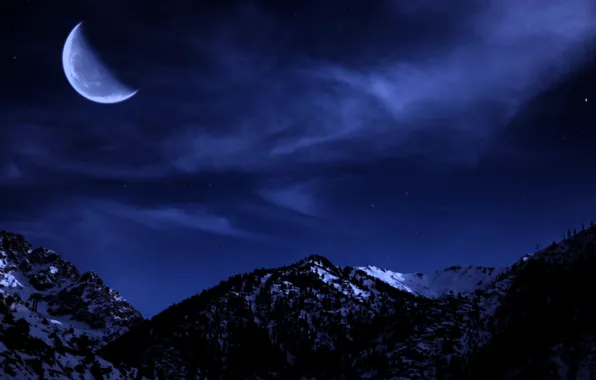 Picture winter, forest, the sky, stars, snow, trees, mountains, night