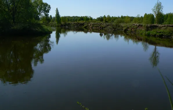 Greens, the sky, river, Belarus, my photo, the Drut river
