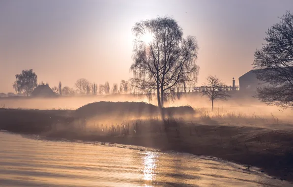 Nature, fog, river