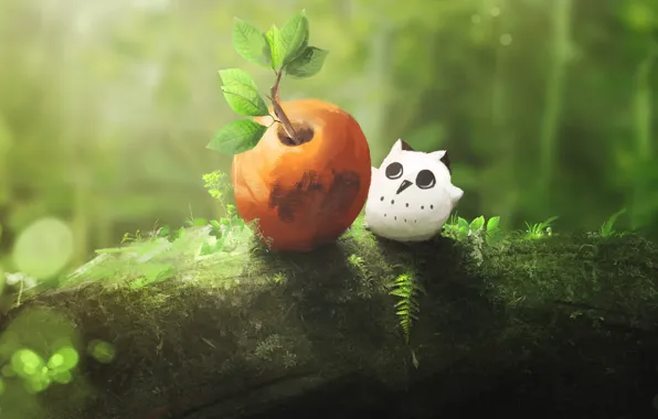 Picture nature, owl, small, fruit