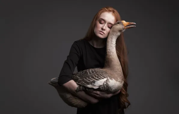 Picture girl, goose, redhead, the dark background, Kirill Sokolov, Anna Zhu