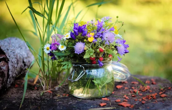 Macro, bouquet, Bank, wildflowers