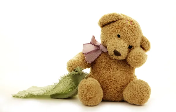Picture toy, bear, bear, toy, bear, cute, Teddy