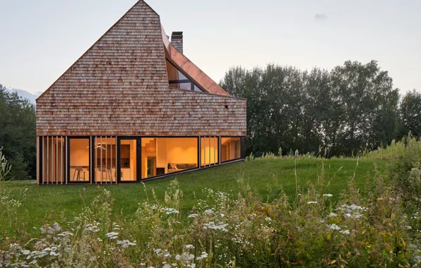 Flowers, glade, Villa, architecture, Lithuania, Vilnius, Cedar House, by Studio Arches