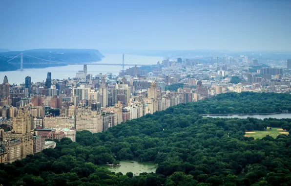 Picture city, USA, United States, river, skyline, trees, bridge, New York